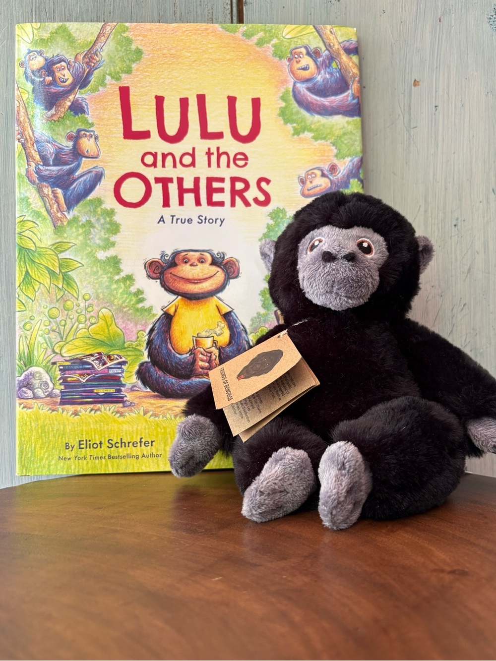 From Lola ya Bonobo Sanctuary, “Lulu & the Others” Book & Plush Bonobo Gift Set - Picture 14 of 14